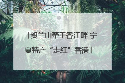 贺兰山牵手香江畔 宁夏特产“走红”香港