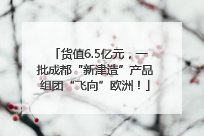 货值6.5亿元，一批成都“新津造”产品组团“飞向”欧洲！