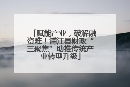 赋能产业，破解融资难！浦江县财政“三聚焦”助推传统产业转型升级