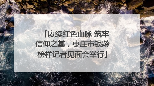 赓续红色血脉 筑牢信仰之基，枣庄市银龄榜样记者见面会举行