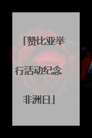 赞比亚举行活动纪念非洲日