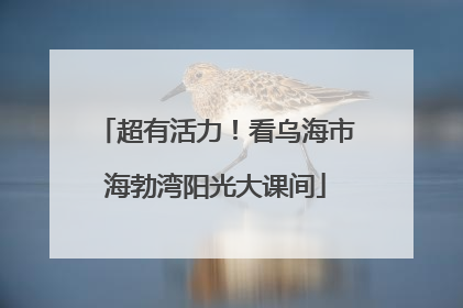 超有活力！看乌海市海勃湾阳光大课间
