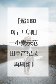 超1800斤！阜阳一小麦示范田单产纪录再刷新