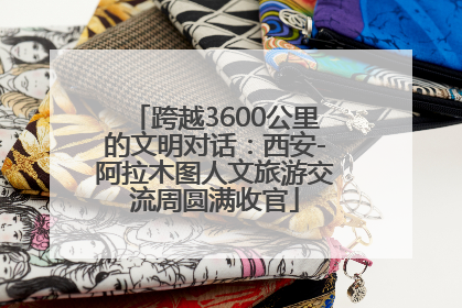 跨越3600公里的文明对话：西安-阿拉木图人文旅游交流周圆满收官