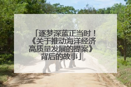 逐梦深蓝正当时！《关于推动海洋经济高质量发展的提案》背后的故事