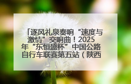逐风礼泉奏响“速度与激情”交响曲！2025年“东恒盛杯”中国公路自行车联赛第五站（陕西·礼泉站）正式开赛