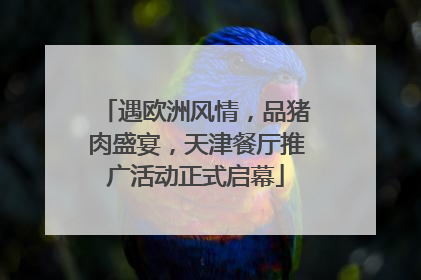 遇欧洲风情，品猪肉盛宴，天津餐厅推广活动正式启幕