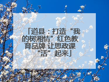 道县：打造“我的树湘情”红色教育品牌 让思政课“活”起来
