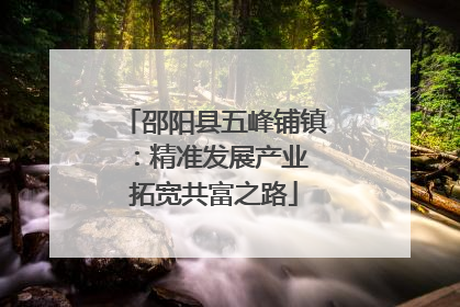 邵阳县五峰铺镇：精准发展产业 拓宽共富之路