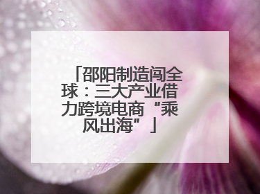 邵阳制造闯全球：三大产业借力跨境电商“乘风出海”