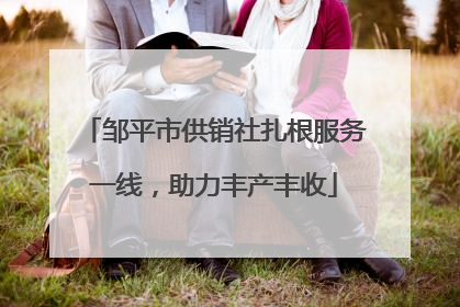 邹平市供销社扎根服务一线，助力丰产丰收