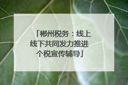 郴州税务：线上线下共同发力推进个税宣传辅导