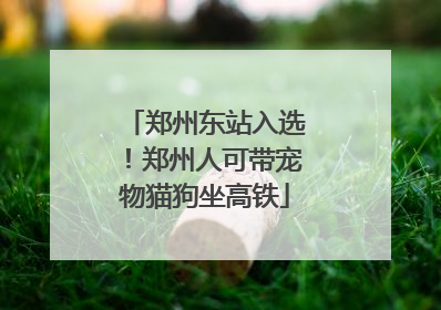 郑州东站入选！郑州人可带宠物猫狗坐高铁