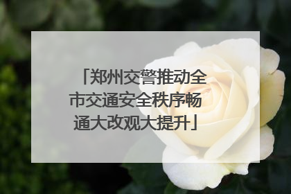 郑州交警推动全市交通安全秩序畅通大改观大提升