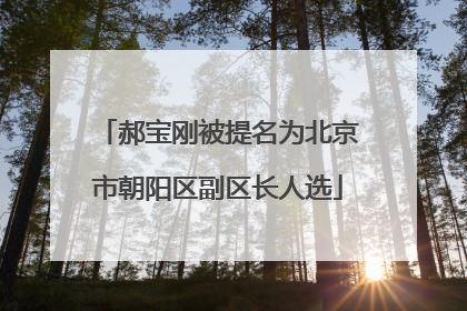 郝宝刚被提名为北京市朝阳区副区长人选