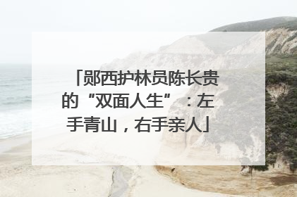 郧西护林员陈长贵的“双面人生”：左手青山，右手亲人