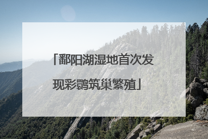 鄱阳湖湿地首次发现彩鹮筑巢繁殖
