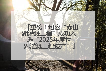 重磅！句容“赤山湖灌溉工程”成功入选“2025年度世界灌溉工程遗产”
