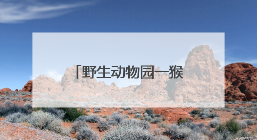 野生动物园一猴子“丑”出圈，当地保育员回应