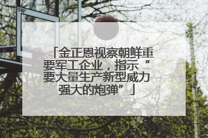 金正恩视察朝鲜重要军工企业，指示“要大量生产新型威力强大的炮弹”