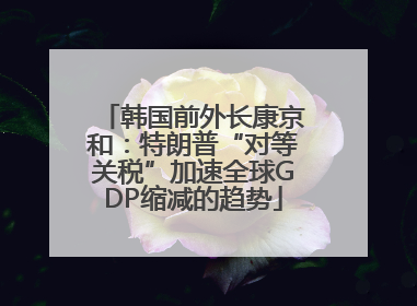 韩国前外长康京和：特朗普“对等关税”加速全球GDP缩减的趋势