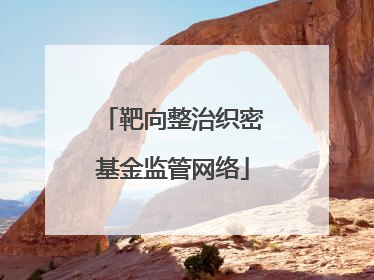 靶向整治织密基金监管网络