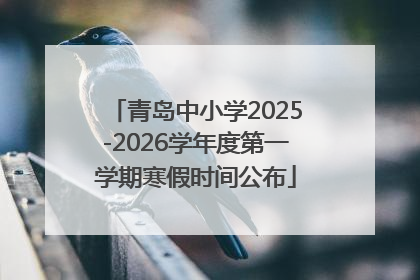 青岛中小学2025-2026学年度第一学期寒假时间公布