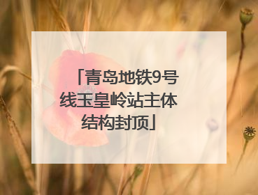 青岛地铁9号线玉皇岭站主体结构封顶
