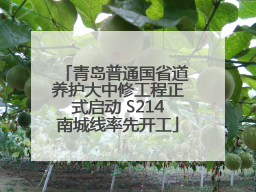 青岛普通国省道养护大中修工程正式启动 S214南城线率先开工