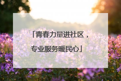 青春力量进社区，专业服务暖民心