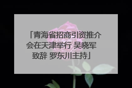 青海省招商引资推介会在天津举行 吴晓军致辞 罗东川主持