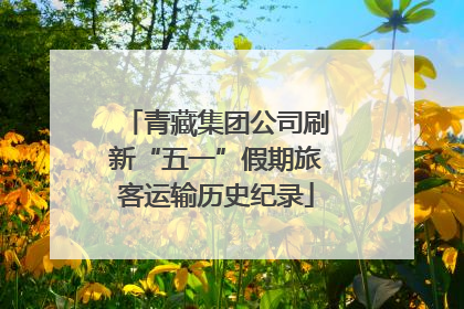 青藏集团公司刷新“五一”假期旅客运输历史纪录