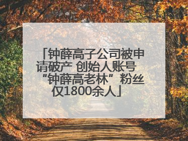 钟薛高子公司被申请破产 创始人账号“钟薛高老林”粉丝仅1800余人