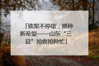 铁犁不停歇，播种新希望——山东“三夏”抢收抢种忙