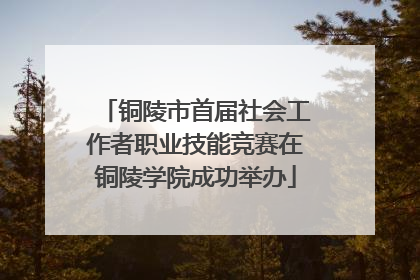 铜陵市首届社会工作者职业技能竞赛在铜陵学院成功举办