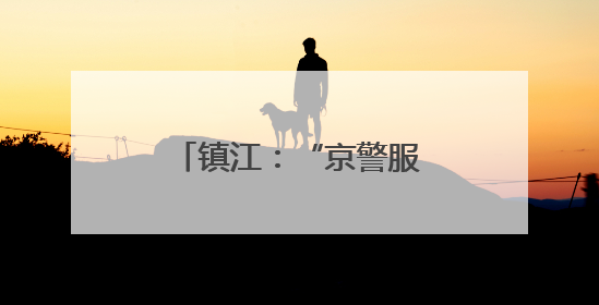 镇江：“京警服务队”上线，助力学子圆梦今夏