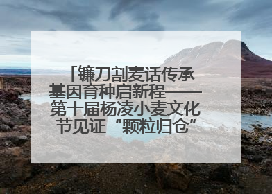 镰刀割麦话传承 基因育种启新程——第十届杨凌小麦文化节见证“颗粒归仓”时空跨越