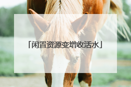 闲置资源变增收活水