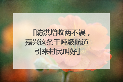 防洪增收两不误，嘉兴这条千吨级航道引来村民叫好