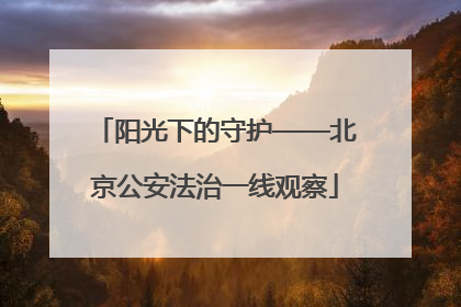 阳光下的守护——北京公安法治一线观察