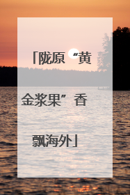 陇原“黄金浆果”香飘海外