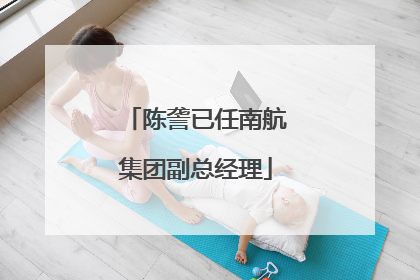 陈詟已任南航集团副总经理