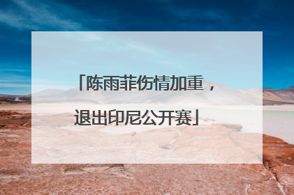 陈雨菲伤情加重，退出印尼公开赛