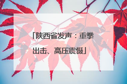 陕西省发声：重拳出击、高压震慑