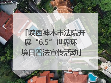 陕西神木市法院开展“6.5”世界环境日普法宣传活动