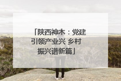 陕西神木：党建引领产业兴 乡村振兴谱新篇
