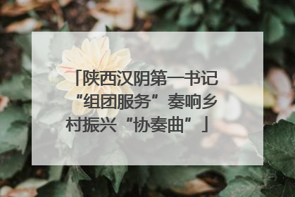 陕西汉阴第一书记“组团服务”奏响乡村振兴“协奏曲”