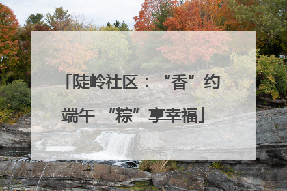 陡岭社区：“香”约端午 “粽”享幸福