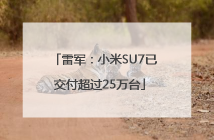 雷军：小米SU7已交付超过25万台