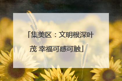 集美区：文明根深叶茂 幸福可感可触